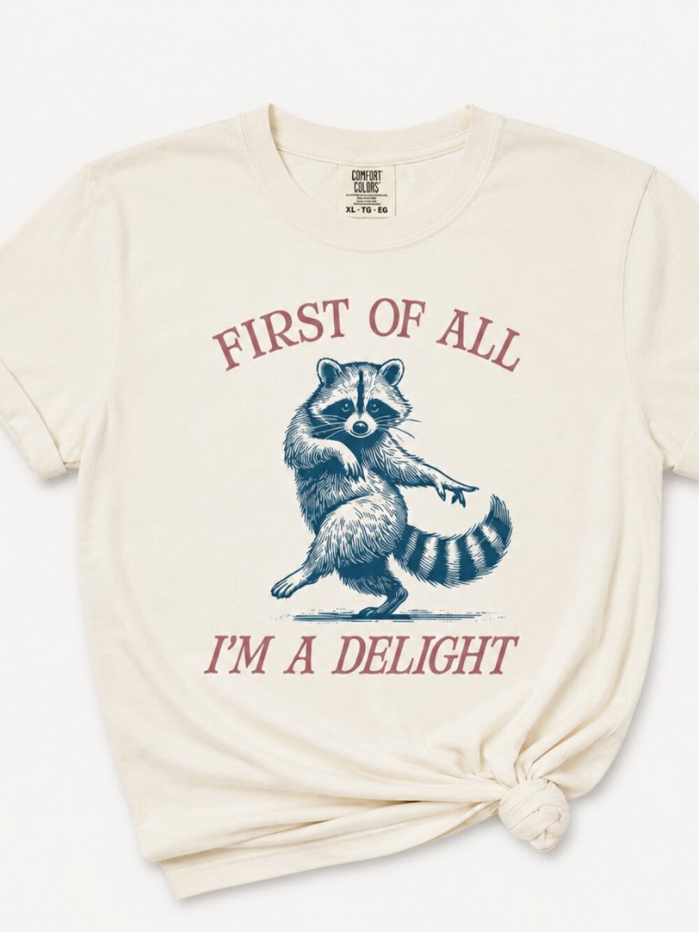 “First of All I’m a Delight” Raccoon Comfort Colors Shirt - Picture 3 of 4